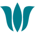 Vanity Soul logo